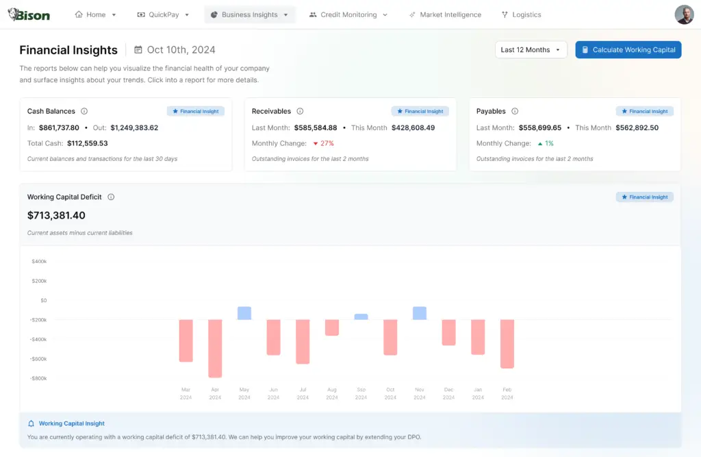 Bison Payments Business Insights dashboard showing financial health metrics including cash balances, receivables, payables, and working capital deficit